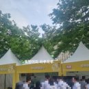 서울광장/끝나기 직전 잠시 체험한 2025 서울헬스쇼