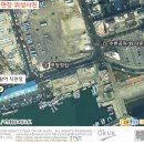 싱싱회 활어