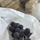 하늘이네 농장 이미지