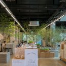 K&T KOREA 티스토리