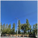 큰행운공인중개사사무소 이미지