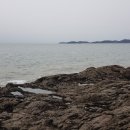 주식회사 유이유 이미지