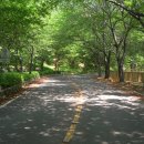 안민고개길 입구 이미지