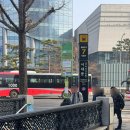 샤인스테이 | 서울 서대문역 맛집 신라스테이 서대문 뷔페 런치로 이용한 후기