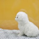 아이러브펫 동물병원 이미지