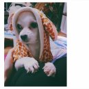 놀러와 펜션 이미지