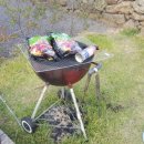 사계 아올 이미지