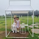 지효목장 이미지