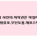 뉴핑크코스매틱