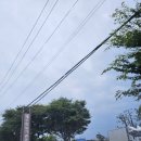 제주항일기념관 | 제주가볼만한곳 제주비오는날 갈만한곳 제주박물관 제주 조천읍<항일기념관>