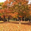 수인공원 이미지