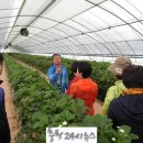 양송이마을영농조합 이미지