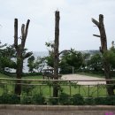 호근동-7 이미지