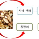 박촌식품