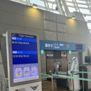 동주유소 | [하나투어 4국 7박9일 동유럽 패키지 후기✈️] 1일차 아시아나 항공 인천 -> 독일 프랑크푸르트 비행...