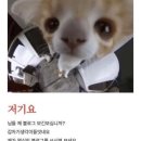 자체휴강시네마 이미지