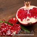 석류 효능 갱년기 석류즙 효능 남자 부작용 이미지