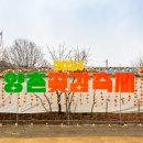 양촌자원