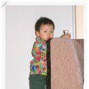 주성이네 옷 이미지