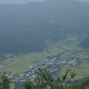 미당화랑 이미지