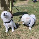 안상수동물병원 이미지