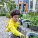 [세계채식인의날]요리활동 이미지