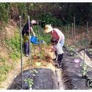 진동도서관 이미지