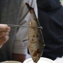 곰돌이포차 | 역촌동 횟집 손맛 죽이는 해산물포차 &lt;곰돌이포차&gt; 가을 해산물 통합 리뷰