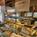 윤쉐프 정직한제빵소 | 양주 대형 베이커리 카페 추천! 빵이 맛있는 윤쉐프정직한제빵소 광사점 후기