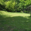 순천시야영장 이미지