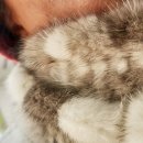 진도세탁소 이미지