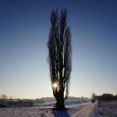 고용복지플러스센터 이미지