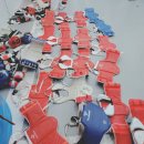 천하효태권도장 이미지