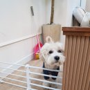 부띠끄멍 이미지