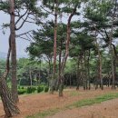 한울장묘 - 용인시 기흥구 금화로108번길 7 | 한울장묘