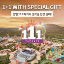 신화테마파크 Daum카페