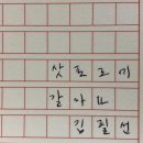 아나모헤어플란트의원 | 삿포로 겨울 여행기#2 꿈만 같았던 비에이투어 ㅣ 훗카이도 여행코스 삿포로 코디모음