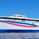 제주진도 이미지