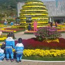 대장경테마파크 이미지