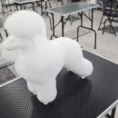 (단기_온라인)진로포트폴리오(자격증) 이미지