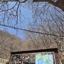 영남도시락 | 영남알프스 7봉 완등 도전! 가지산 석남터널 최단코스 소요시간 및 등반 후기