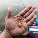 서곡낚시터 이미지