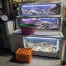 고가네영덕대게 이미지