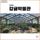 신효동-31 | 제주도 문화도시 서귀포 감귤박물관 귤림추색 감귤아트전