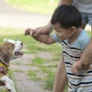 건강을만지는사람들