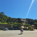 무릉도원면-38 이미지