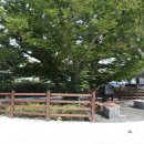 느티나무어린이공원 이미지