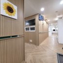 비더스테이 이미지