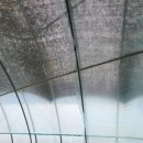 영광베드로농장 이미지