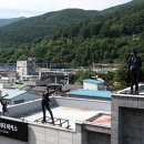 야생화마을 추리본부 이미지